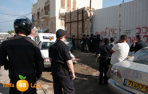 haradeem france hos 629 (12).jpg